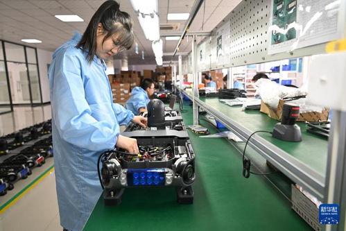 哈尔滨新区 技术服务涌动创新热潮，引领产业振兴